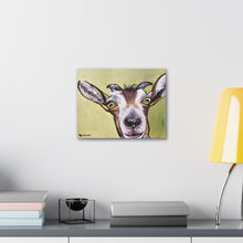 Load image into Gallery viewer, Goat Painting
